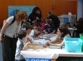 scolaires003