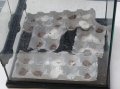 Travaux des ecoles016