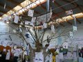 Travaux des ecoles022