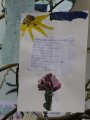 Travaux des ecoles024