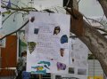 Travaux des ecoles025